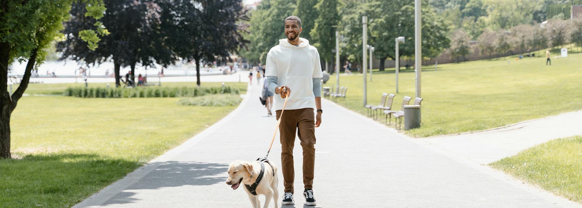 Why Research Before Adopting a Pet?: Things to Consider Today